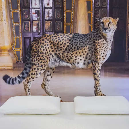 罗马特雷维精英旅馆 4* 罗马