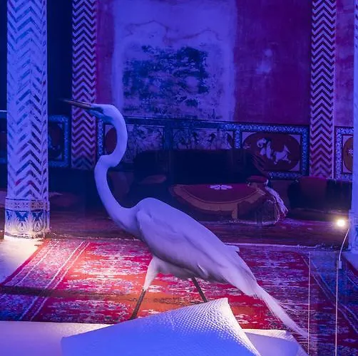 트레비 엘리트 로마