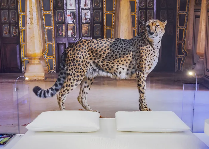 트레비 엘리트 4* 로마