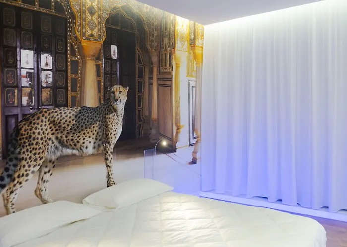 트레비 엘리트 로마